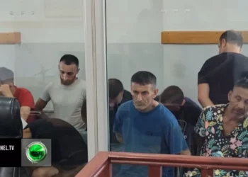 U arrestua gjatë operacionit “Summer”: Armën e gjeta kur po mblidhja hekura