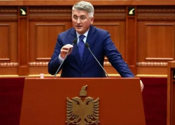 Zjarri në Shëngjin/ “Kryeministrit t’i bëjë apel fqinjëve”, Gjekmarkaj: Eshtë fatkeqësi jonatyrore, mund të jetë ndonjë dorë