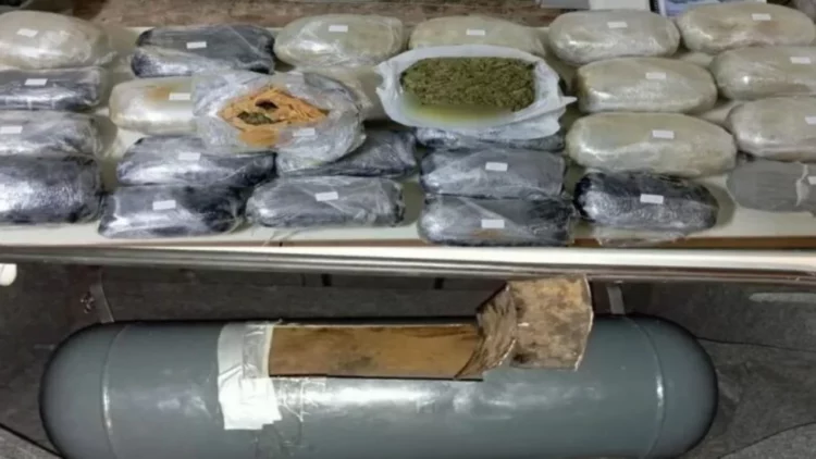 “Këta janë mësuar me barin e Lazaratit”, dalin përgjimet e reja të grupit shqiptar në Verona