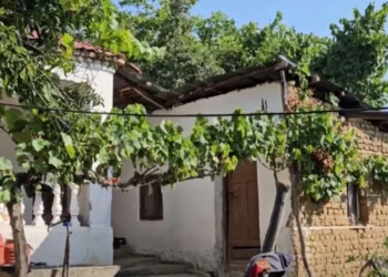 Abuzuan seksualisht me 16-vjeçaren, lihen në burg dy të arrestuarit në Korçë