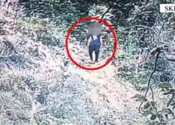 Video – Droni e filmonte teksa kujdesej për hashashin, arrestohet i riu në Skrapar