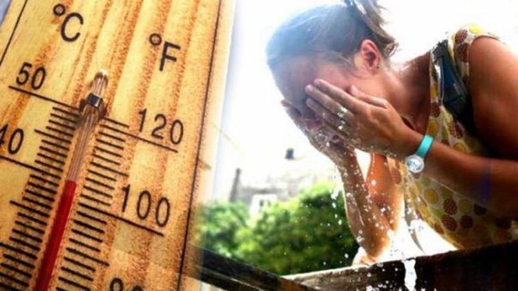 Parashikimi i motit, 17 Korrik 2024