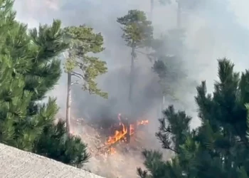 “U shkaktua nga shkëndija elektrike”/ Zjarri në Llogora, Mbrojtja Civile: Shmangni këtë rrugë