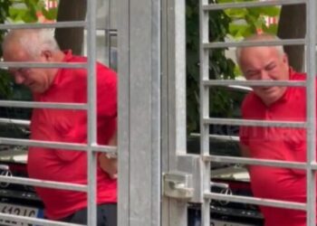 Pali dhe mikrokreditë e shpirtit të pangopur!