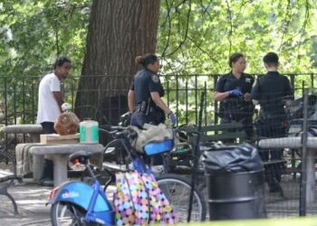 Panik në park! Qëllohet me armë zjarri, një i vdekur dhe një i plagosur