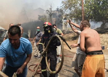Greqia në luftë me flakët, evakuohen spitalet dhe shtëpia e të moshuarve në Patra/VIDEO