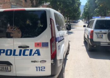 Hidhet lëndë plasëse në sheshpushimin e një pallati në Pogradec, detajet e para