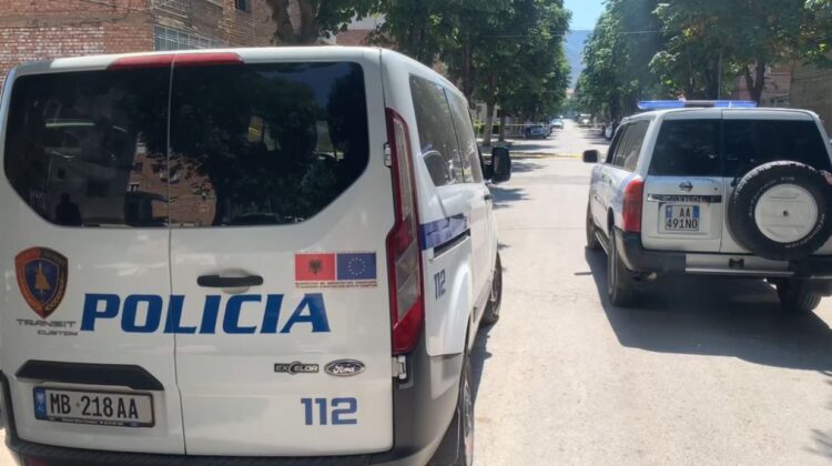 Hidhet lëndë plasëse në sheshpushimin e një pallati në Pogradec, detajet e para