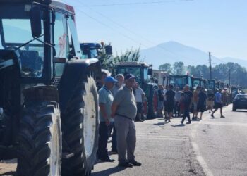 Mungesa e tregut për prodhime bujqësore, fermerët protestojnë në Maliq
