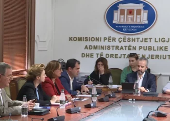 PD me draft më vete për diasporën: Të votojnë edhe emigrantët jo rezidentë