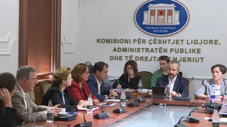 PD me draft më vete për diasporën: Të votojnë edhe emigrantët jo rezidentë