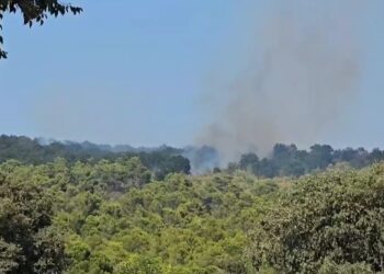 Zjarri përfshin malin e Shëngjinit, flakët i afrohen zonës së ‘Ranës së Hedhur’