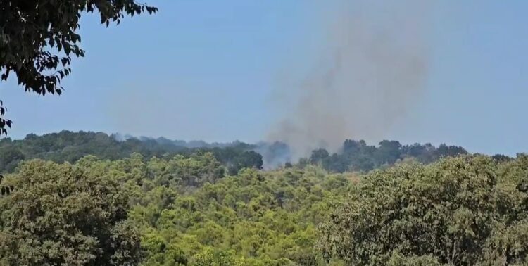 Zjarri përfshin malin e Shëngjinit, flakët i afrohen zonës së ‘Ranës së Hedhur’
