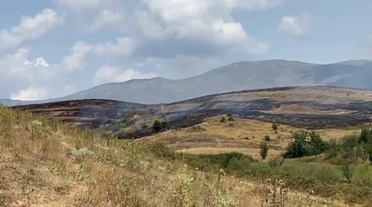 Maliq, zjarr në kodrat e Blacës