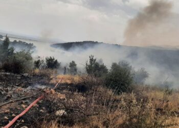 Zjarr masiv mes Ksamilit dhe Butrintit, digjet rreth 1 hektar me ullishte