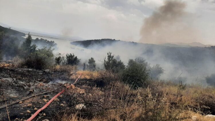 Zjarr masiv mes Ksamilit dhe Butrintit, digjet rreth 1 hektar me ullishte