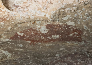 Gjendet në Indonezi piktura më e vjetër në botë, daton para 51 mijë vitesh