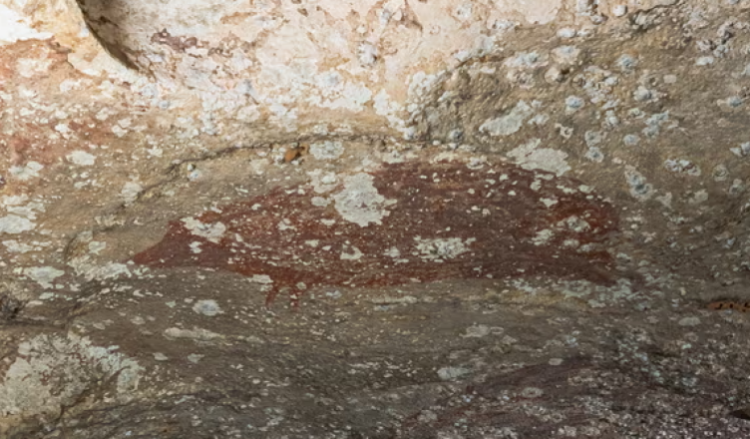 Gjendet në Indonezi piktura më e vjetër në botë, daton para 51 mijë vitesh