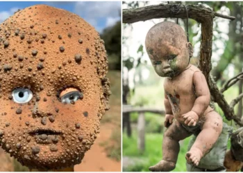 Ishulli i kukullave të ‘vdekura’, destinacioni më i frikshëm në Meksikë, historia lodrave të pushtuara nga shpirtra