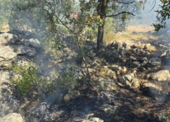 Digjen 30 ha pyll në Shkodër, zjarri vazhdon në Malin Kolaj dhe Rrjoll