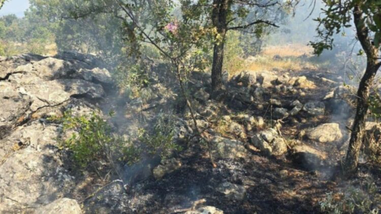 Digjen 30 ha pyll në Shkodër, zjarri vazhdon në Malin Kolaj dhe Rrjoll
