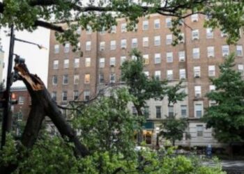 SHBA goditet nga stuhitë, 460 mijë familje dhe biznese pa energji elektrike