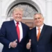 Orban takohet me Trump: Njeriu që do të zgjidhë konfliktin Rusi-Ukrainë
