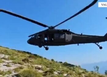 Asgjësohen mbi 8 mijë bimë kanabis në Vaun e Dejës, autorët në drejtim të paditur