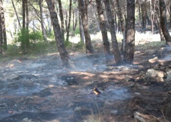 Shuhen vatrat e zjarrit në Shëngjin, turizmi dëmtohet në kulmin e tij