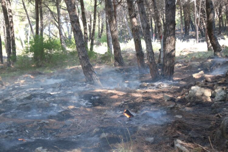 Shuhen vatrat e zjarrit në Shëngjin, turizmi dëmtohet në kulmin e tij