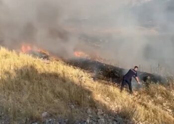 I vuri zjarrin pyjeve në fshatin Frashtan të Dropullit, vihet në pranga autori