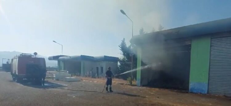 Zjarri shkrumbon magazinën ushqimore në afërsi të fshatit Fushë Gjorm