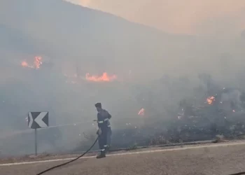 Situatë kritike, zjarri në Malin e Gjerë përparon drejt qytetit të Gjirokastrës