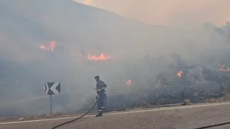 Situatë kritike, zjarri në Malin e Gjerë përparon drejt qytetit të Gjirokastrës