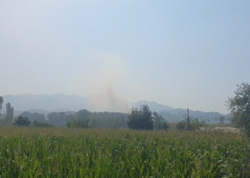 Përfshihet nga flakët landfilli i mbetjeve në Elbasan