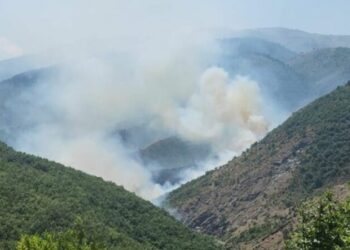 Zjarri i madh në Madhesh të Matit, flakët rrezikojnë pyllin me pisha dhe shtëpitë