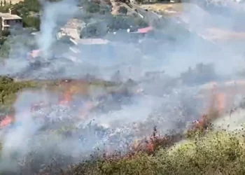 Zjarr i madh në Vlorë afër banesave, dyshohet për zjarrvënie të qëllimshme