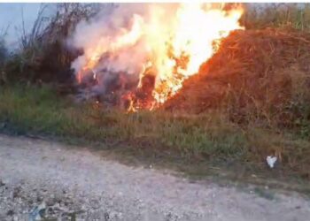 “Zjarrvënie e qëllimshme”/ Flakë në fshatin Remanicë të Beratit
