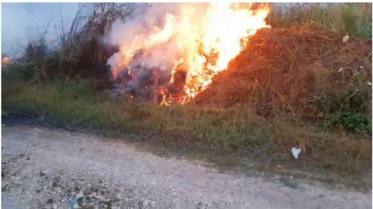 “Zjarrvënie e qëllimshme”/ Flakë në fshatin Remanicë të Beratit