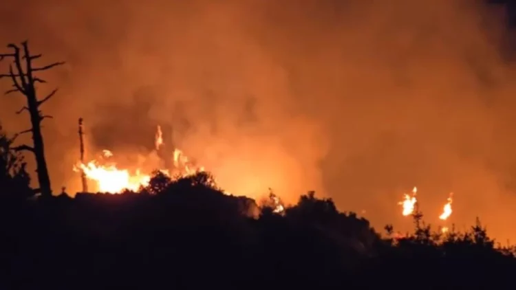 Zjarri në Llogara një ditë para hapjes tunelit/ Drejtori i shërbimit zjarrfikës: E qëllimishme….