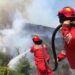 Situata e zjarreve në vend, Mbrojtja Civile: Tetë vatra janë ende aktive