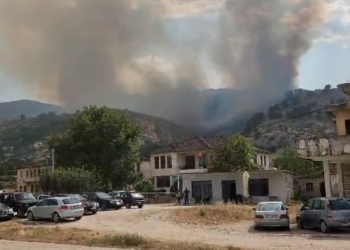 Zjarri në Dropull/ Flakët zbresin nga mali mbi fshatin Sofratikë, rrezikohen banesat