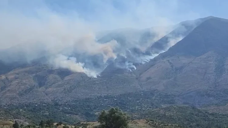 Në 24 orë u raportuan 29 vatra, gjashtë vatra zjarri janë ende aktive