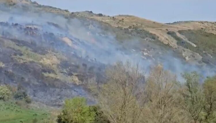 Vatër zjarri në Kaninë, digjen ullinj shekullorë, banesa e një shtetasi italian në rrezik