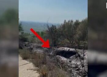 Ndezi zjarr për mbeturinat, por u dogjën sipërfaqe pyjore. Arrestohet 33-vjeçari në Lezhë