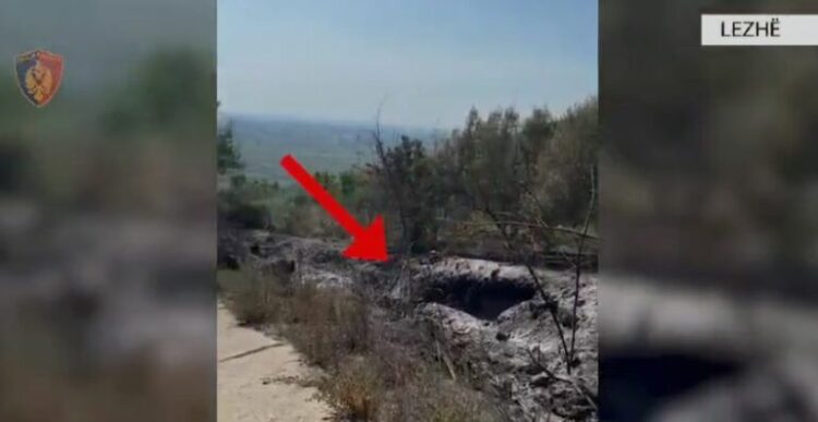 Ndezi zjarr për mbeturinat, por u dogjën sipërfaqe pyjore. Arrestohet 33-vjeçari në Lezhë