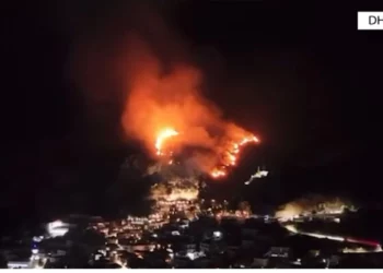(VIDEO) Fishekzjarrët e festës dogjën pyllin, arrestohet 28-vjeçari në Dhërmi