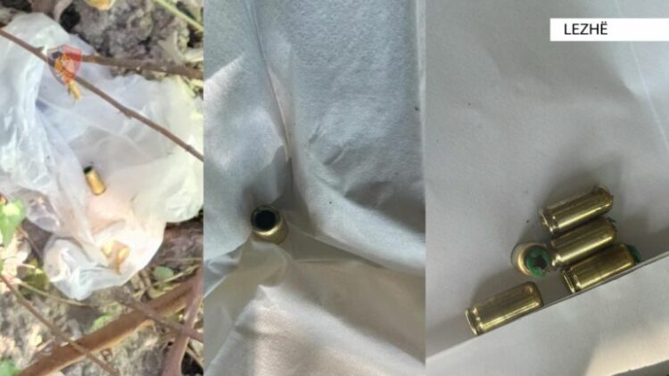 Qëlluan në ajër me armë duke terrorizuar banorët, arrestohen dy të rinjtë…