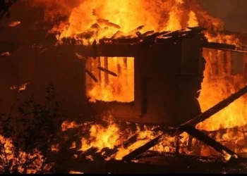 Zjarr në një stallë në Dibër, digjen disa bagëti