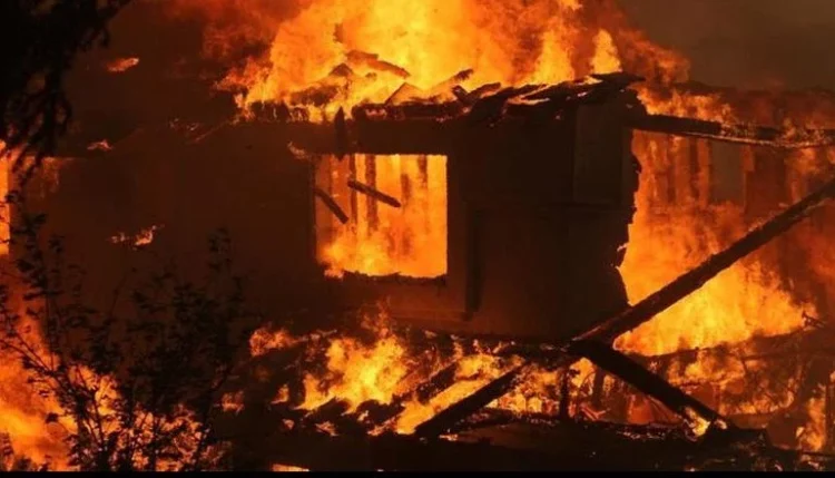 Zjarr në një stallë në Dibër, digjen disa bagëti